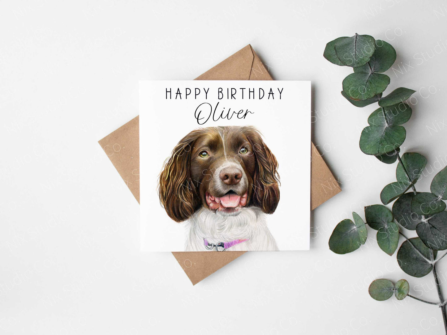 personalised springer spaniel birthday card